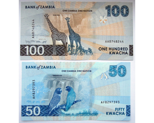 Замбия 2024 - 50 и 100 квача